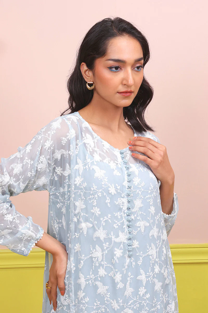 Naaz Asmani Embroidered Set - Image 2