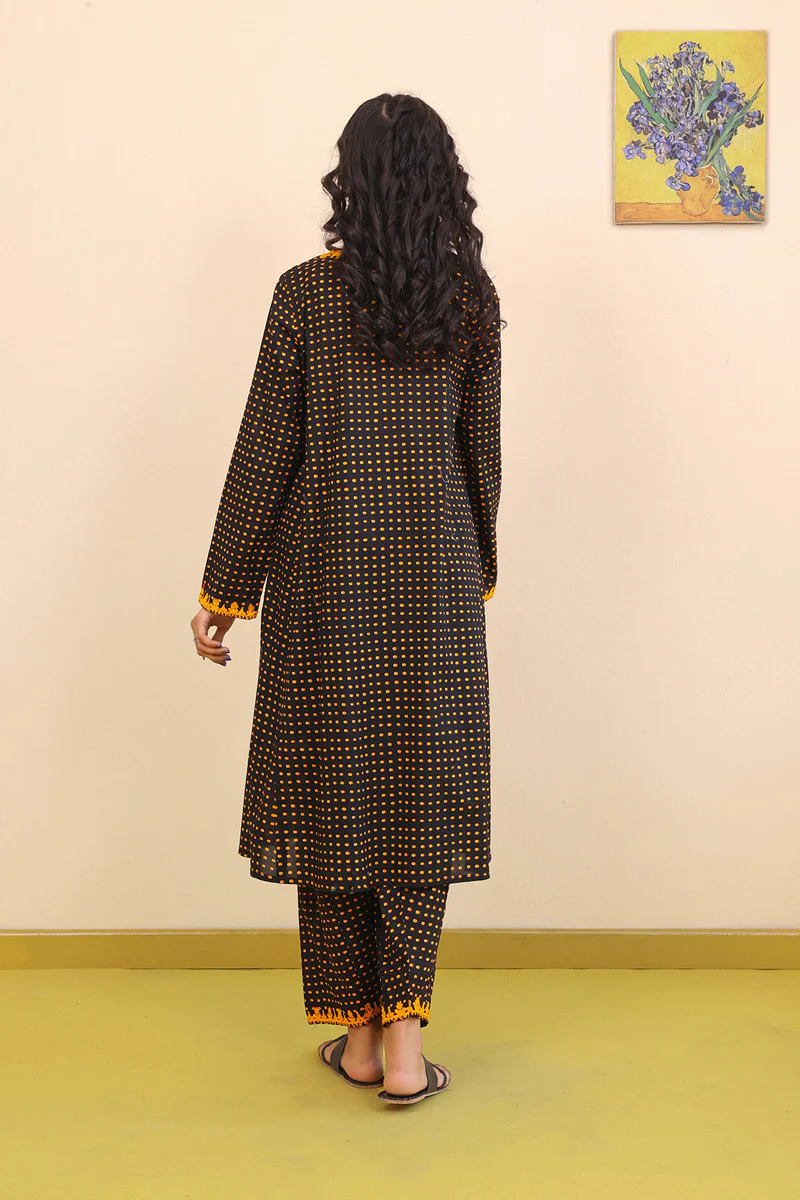 Sarson Baagh embroidered 2 piece - Image 4