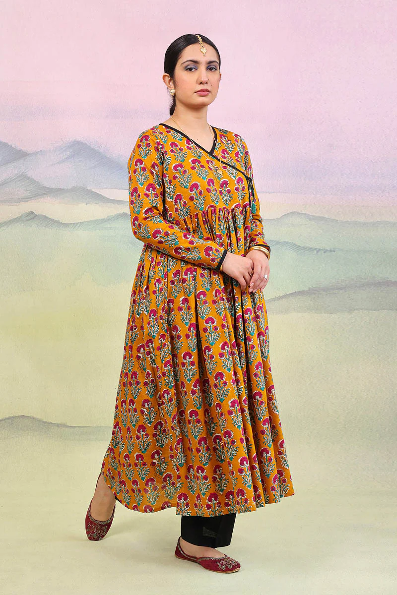 Pankhi Darbaar Dress - Image 3