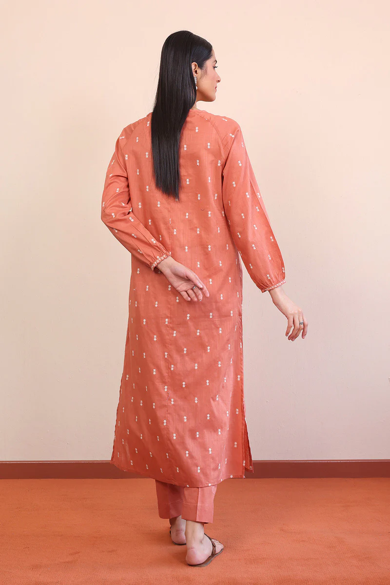 Rangeen Embroidered Set - Image 4