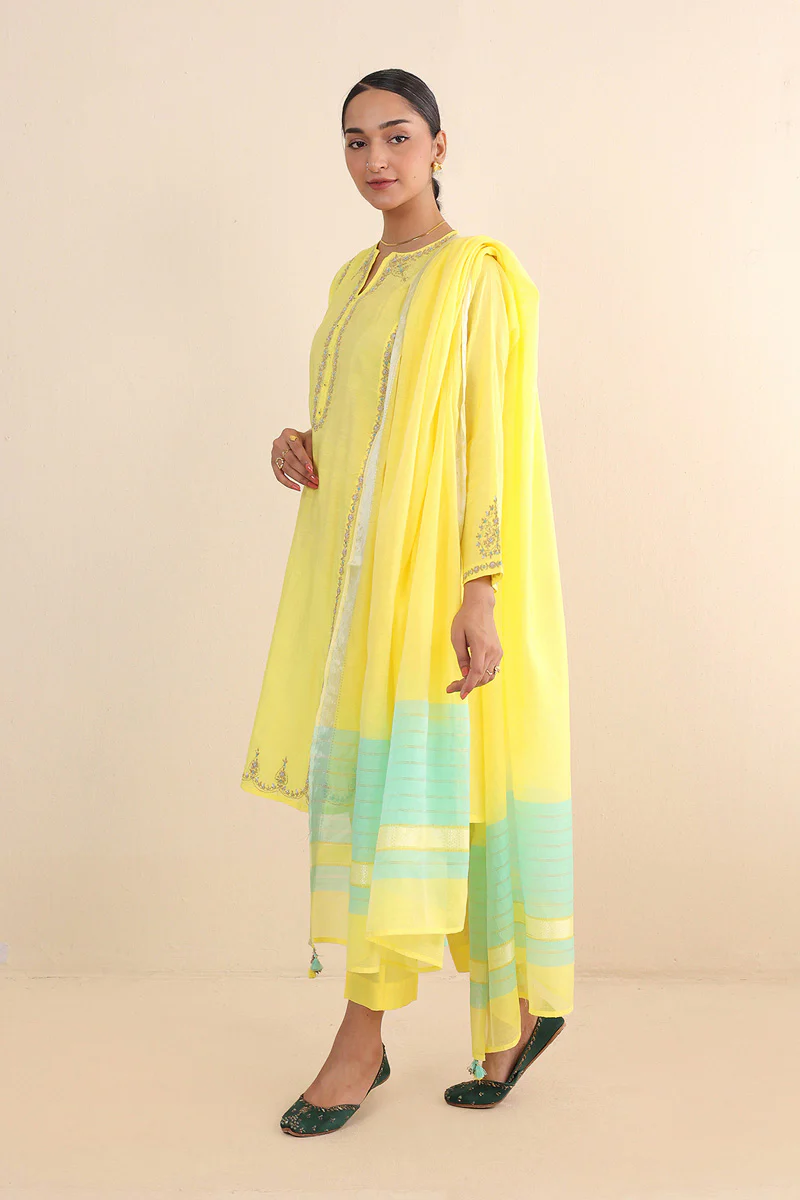 Badami Shehzaadi Suit - Image 6