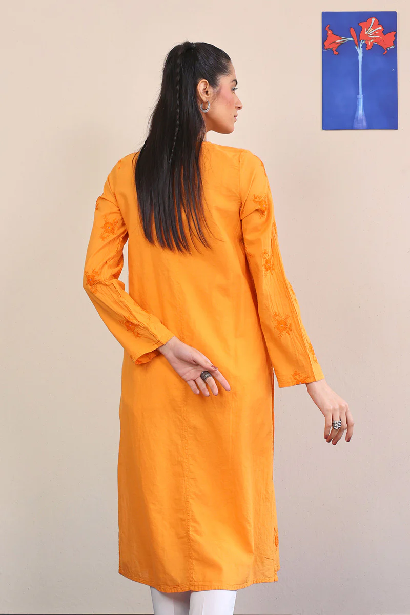 Baagh Embroidered Kurta - Image 4