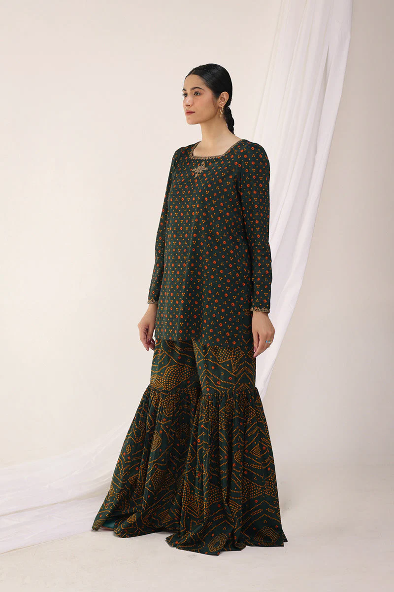 Bandhani Bliss Gharara Set - Image 25
