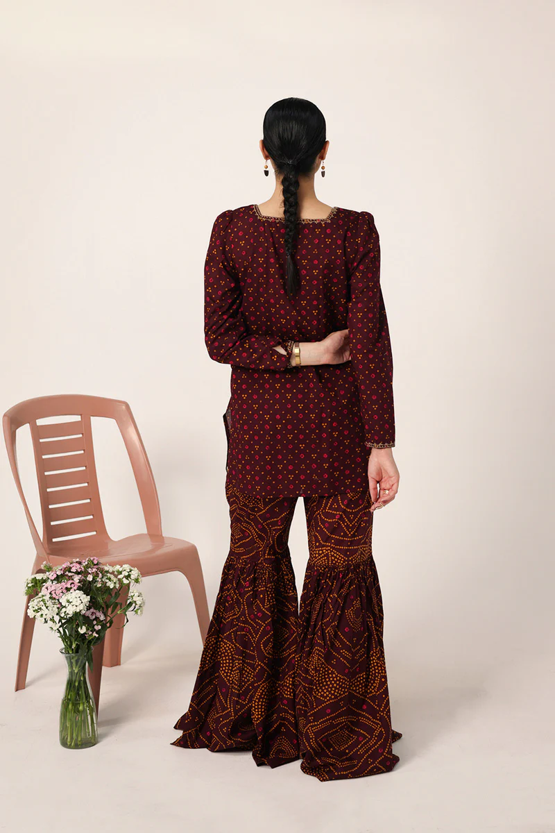 Bandhani Bliss Gharara Set - Image 4