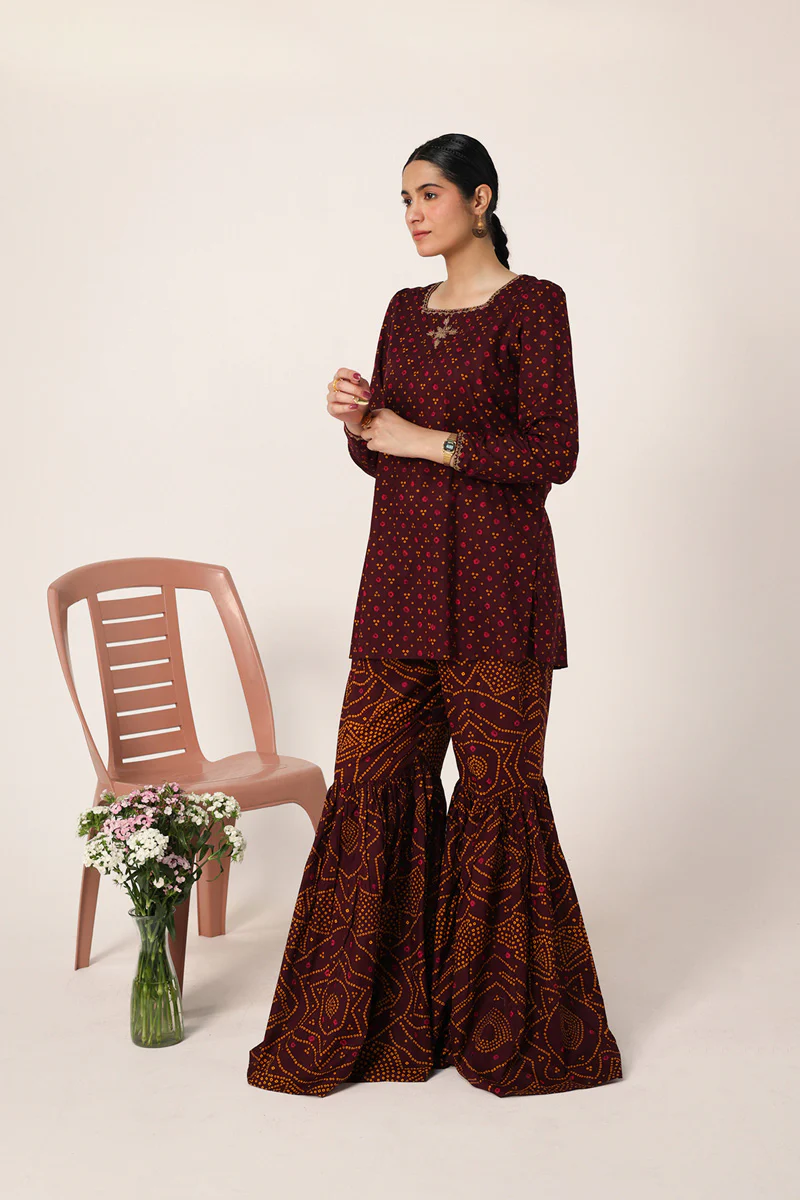 Bandhani Bliss Gharara Set - Image 5