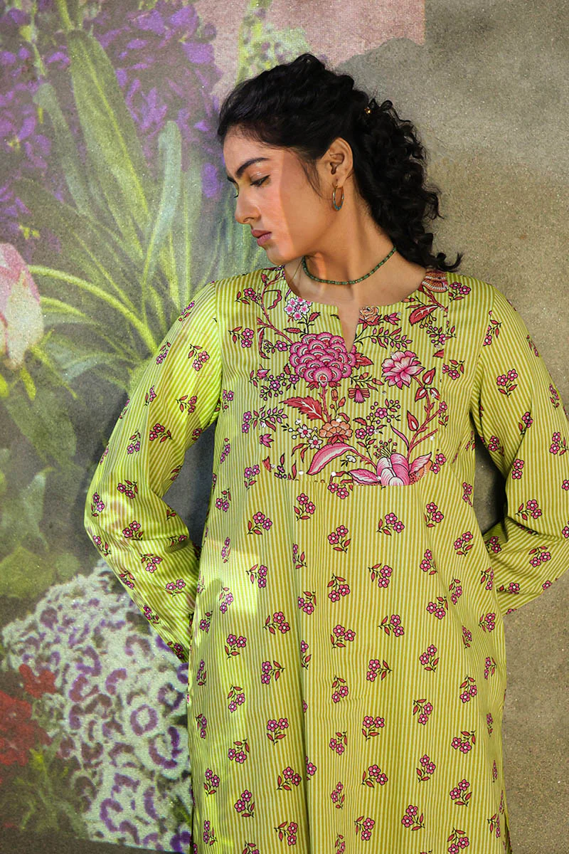 Phool Patti Raqs Suit - Image 10