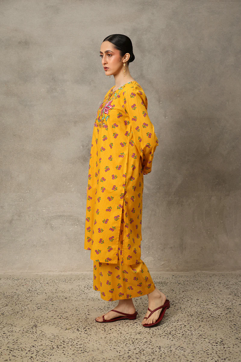 Phool Patti Raqs Suit - Image 6