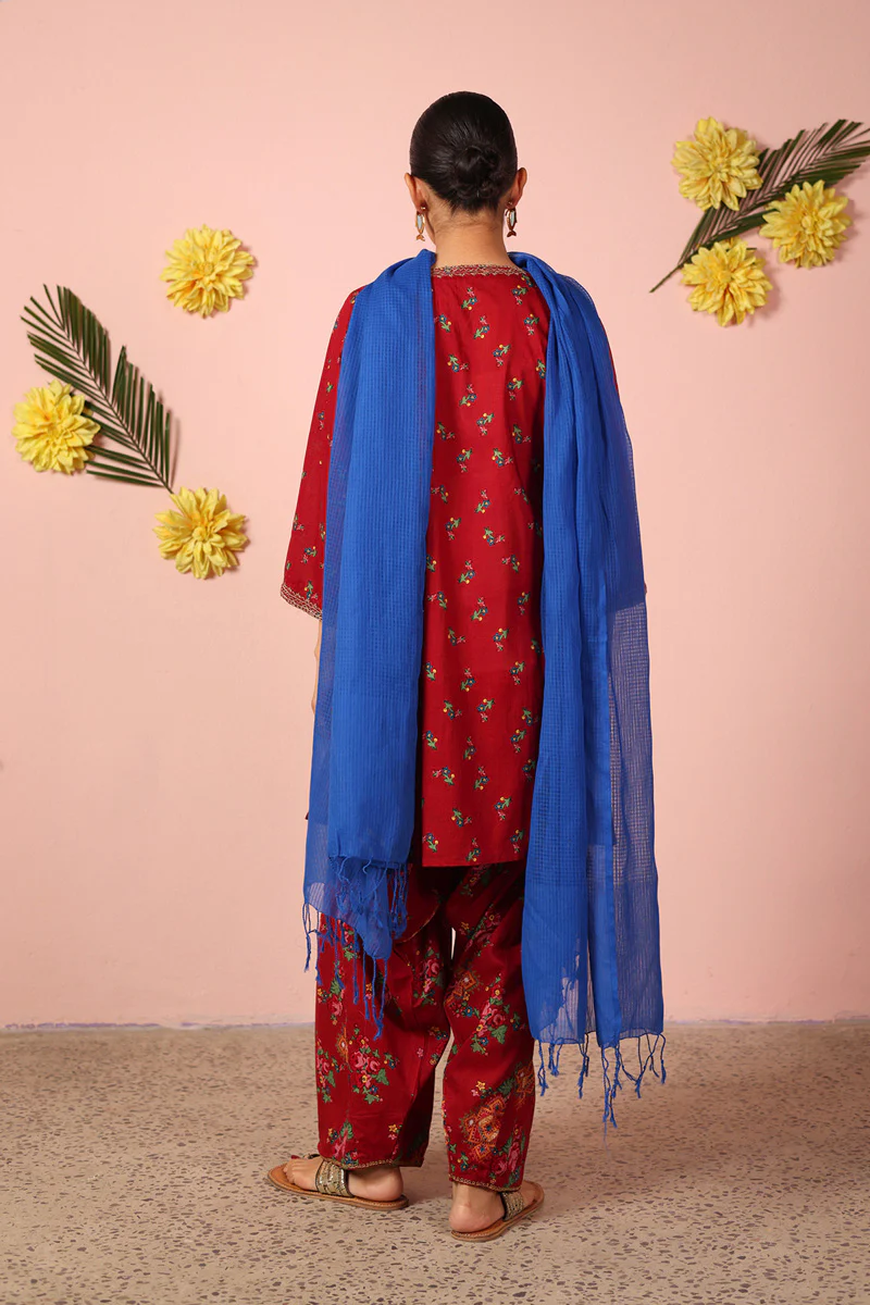 Whispers of Balochi Garden Duo - Image 10