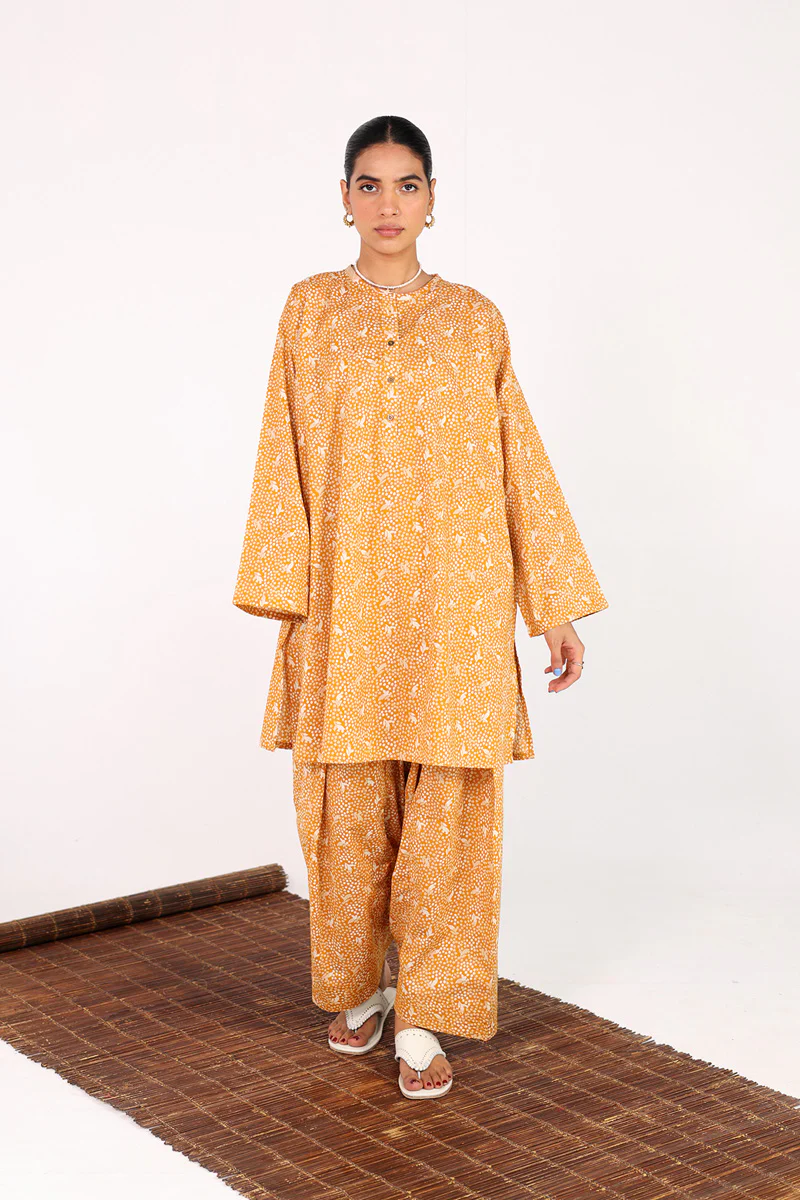 Buttoned Gul E Aqs 2 Piece - Image 7