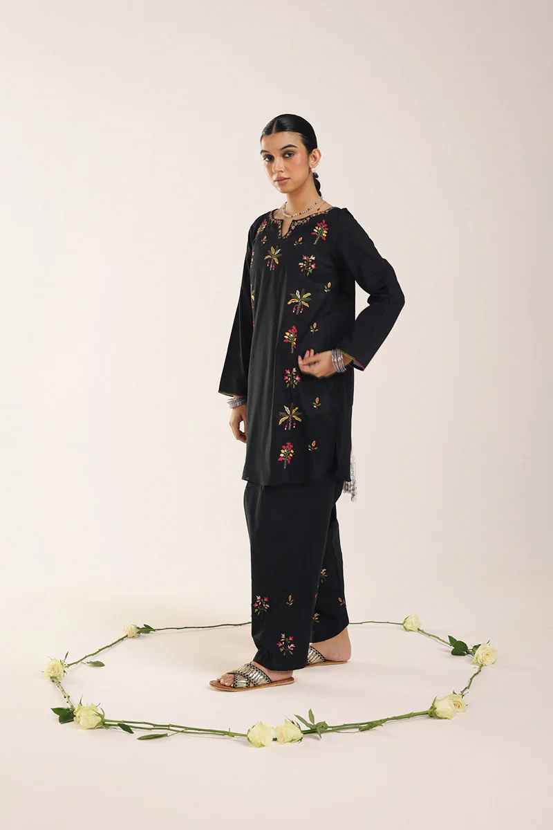 Chamba Rumal Ornate Suit - Image 4