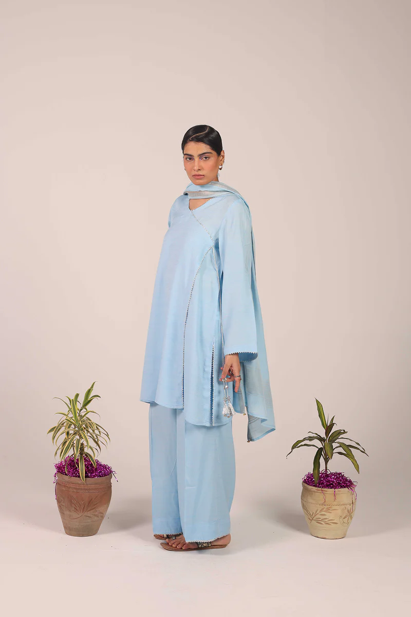 Zareen Angrakha Suit - Image 14