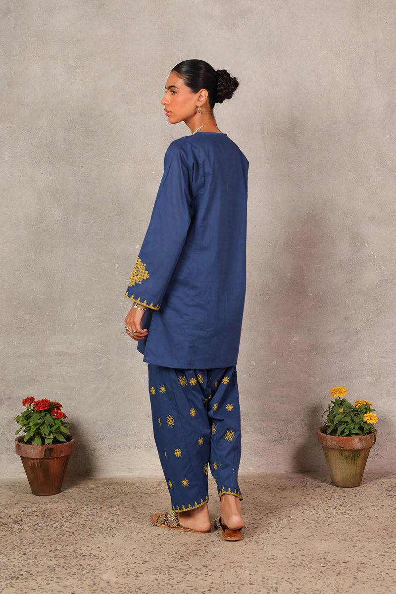 Chakoor Heritage Ensemble - Image 4