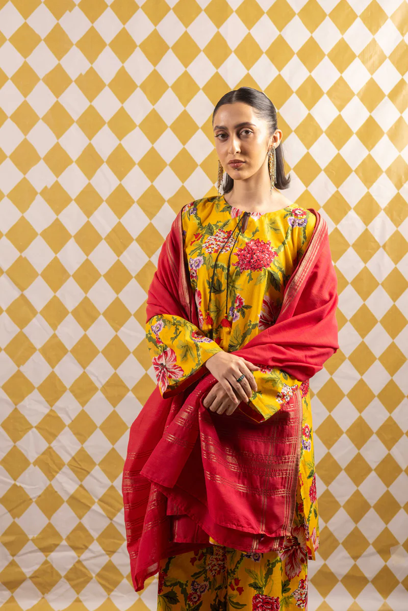 Zareen Beaded Blush Dupatta