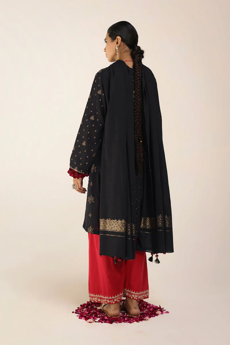 Raat ki Rani Raqs Suit - Image 4