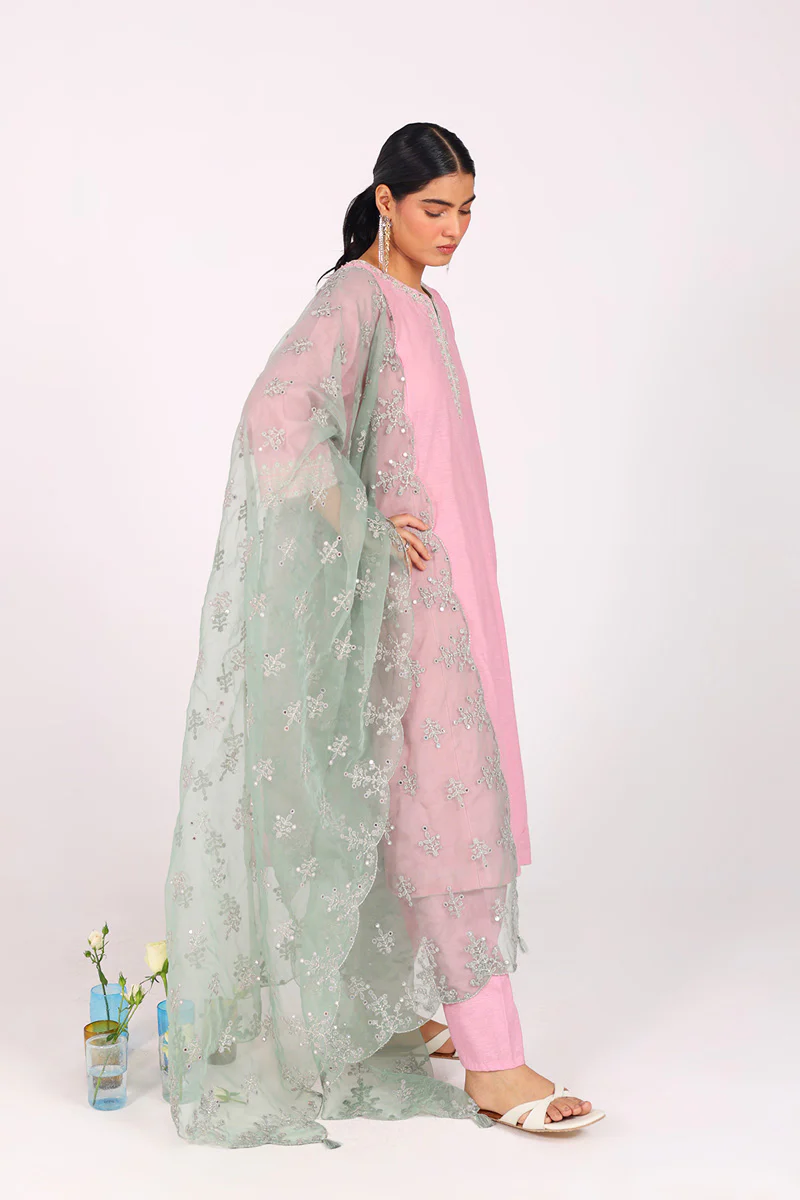 Sunehri Glitz Panni 3 Piece Suit - Image 5