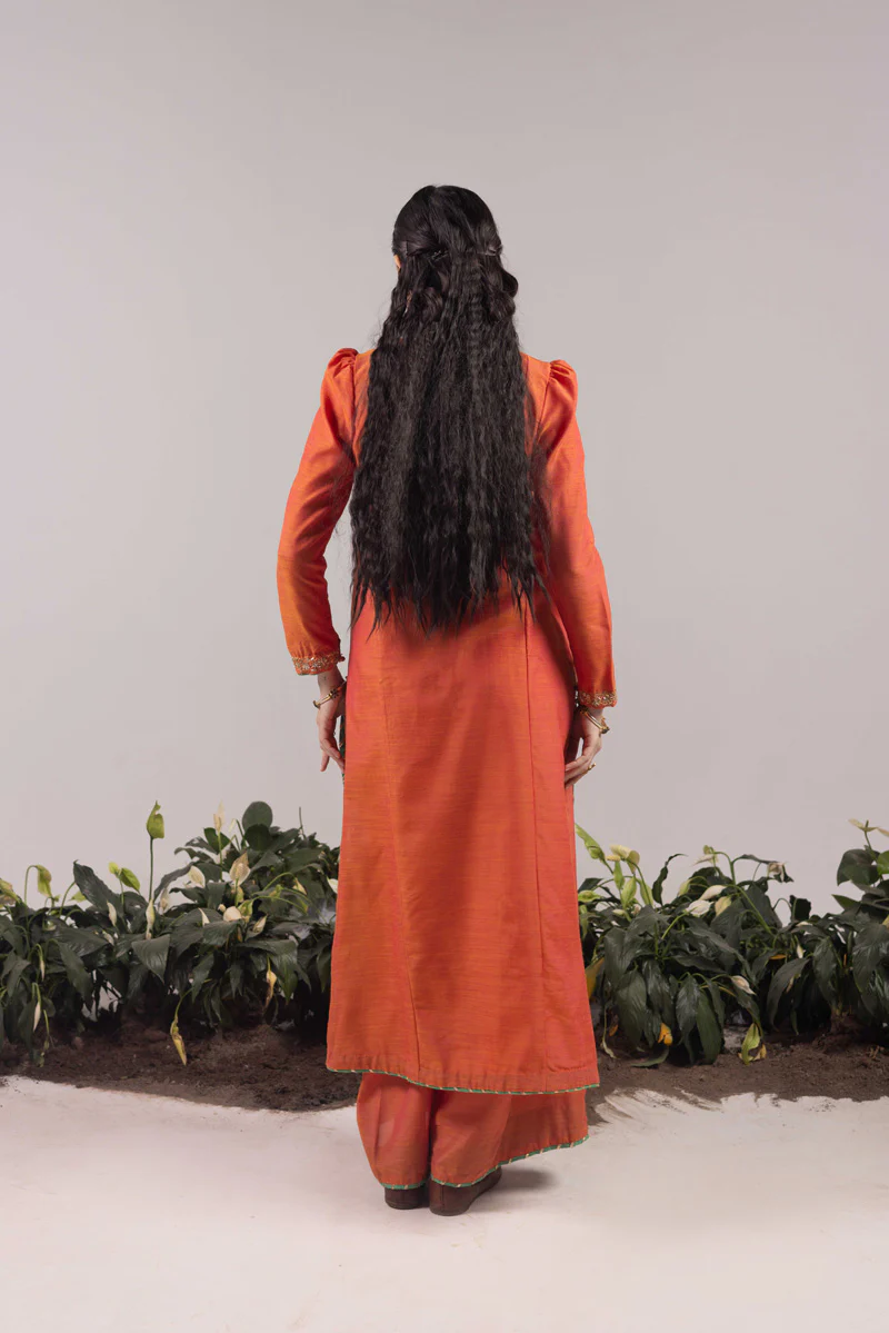 Zardozi Shoukh Rang Duo - Image 4