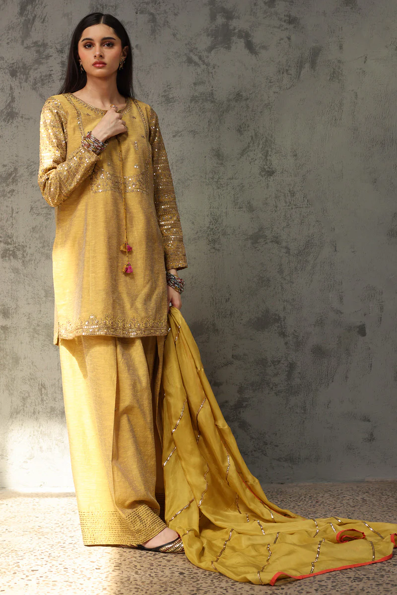 Golden Sequin Farshi Suit - Image 7
