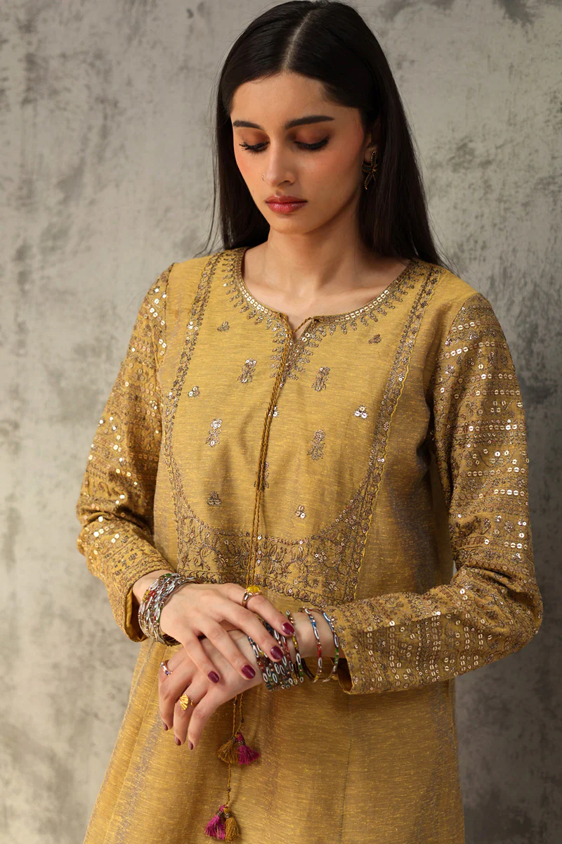 Golden Sequin Farshi Suit - Image 8