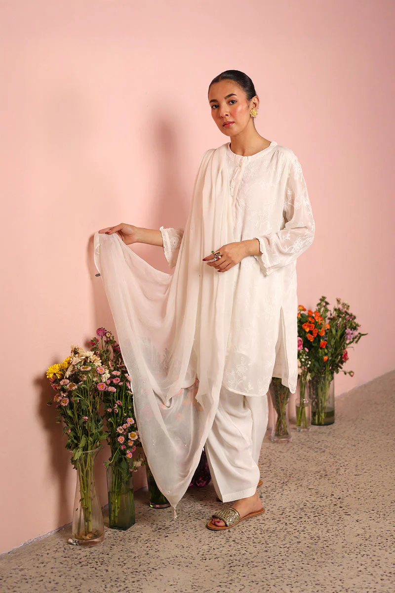 Efflorescence Tassel Gleam Dupatta - Image 5