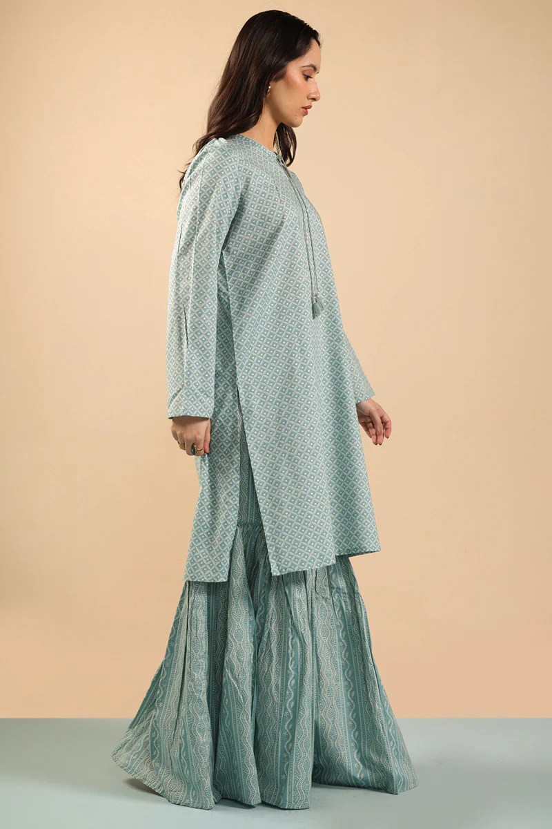 Shadow Stitch Gharara Set - Image 4