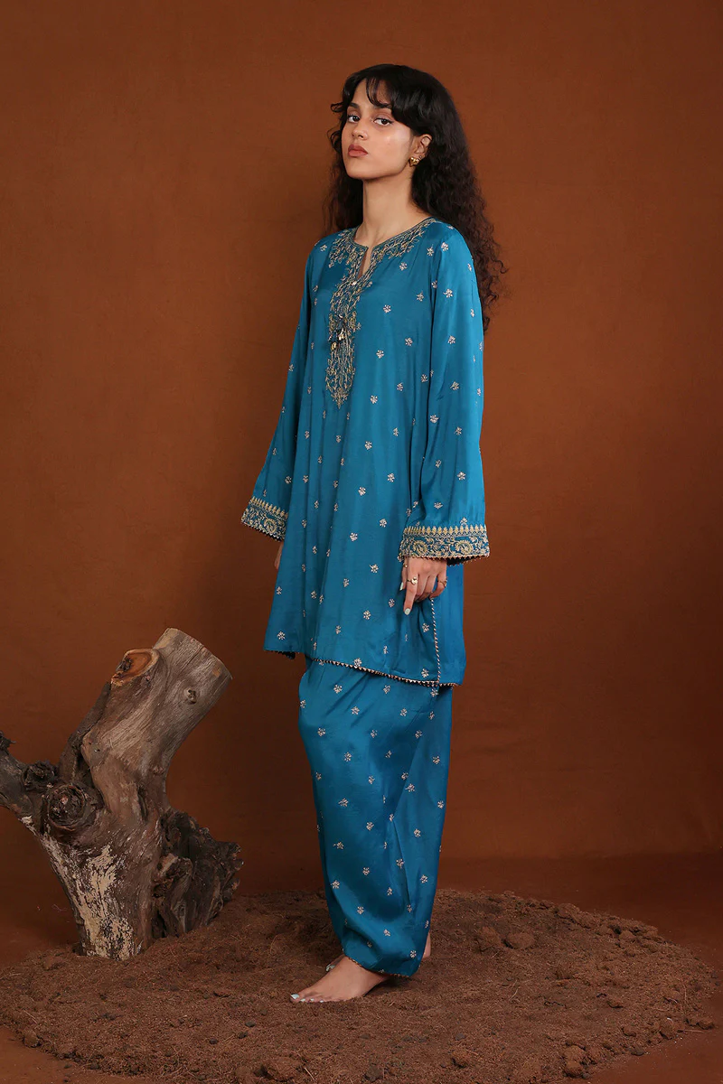 Embroidered Zuvandai 2 Piece - Image 3