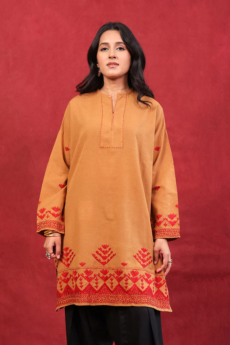 N K R Embroidered Kurta - Image 3