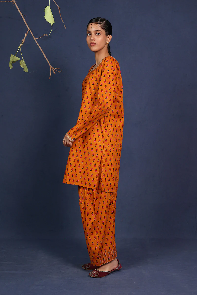 Gul-e-Noor 2 Piece - Image 13