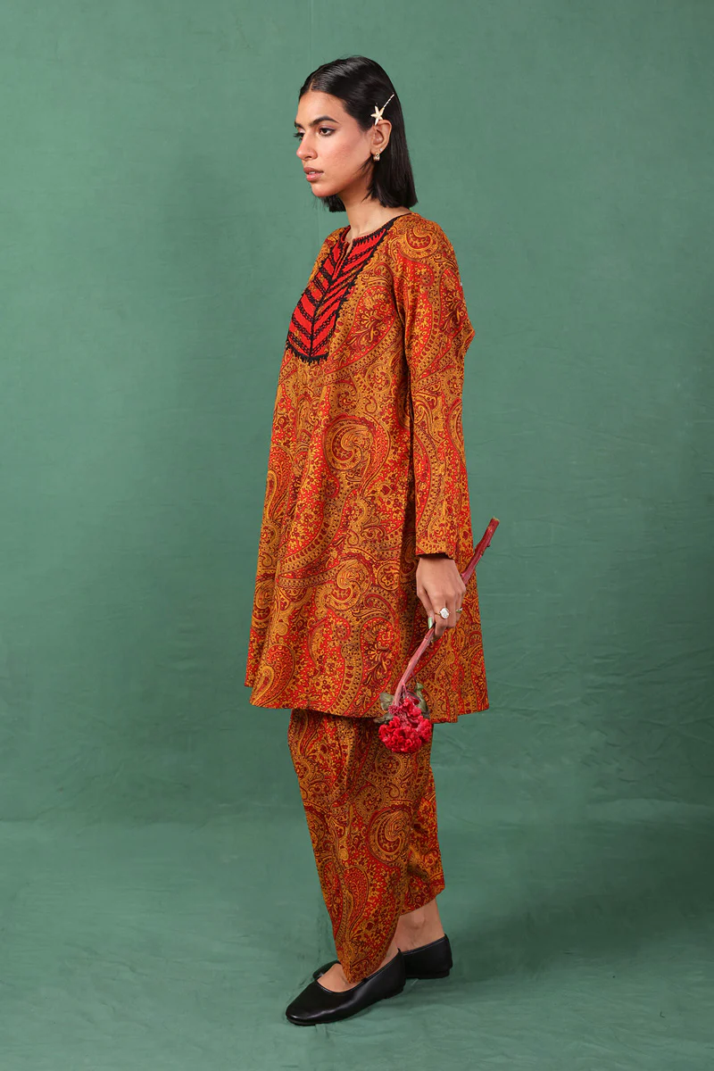 Embroidered Boho Paisley 2 Piece - Image 9