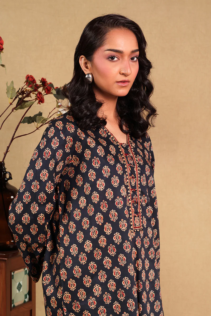 Printed Mysore 2 Piece - Image 2