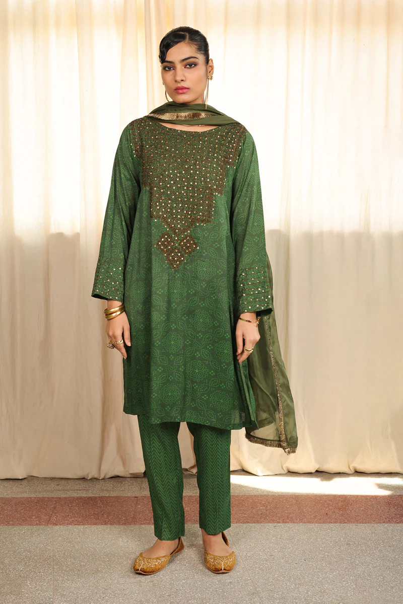 Aari Glam Sanat Suit - Image 3