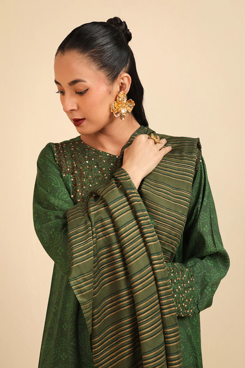 Aari Glam Odhni - Image 3