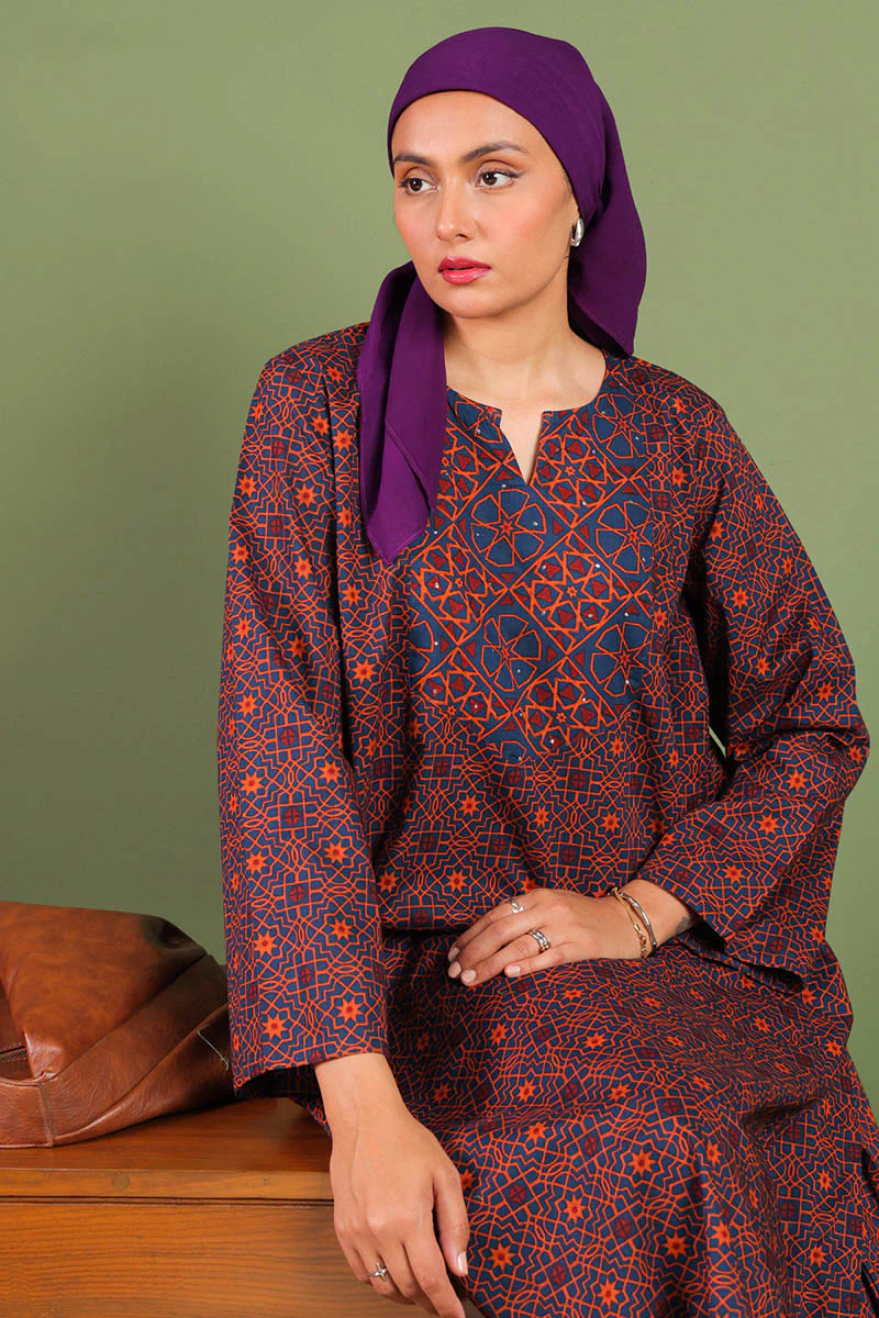 Mukaish Muse Jaal Duo-Set - Image 10