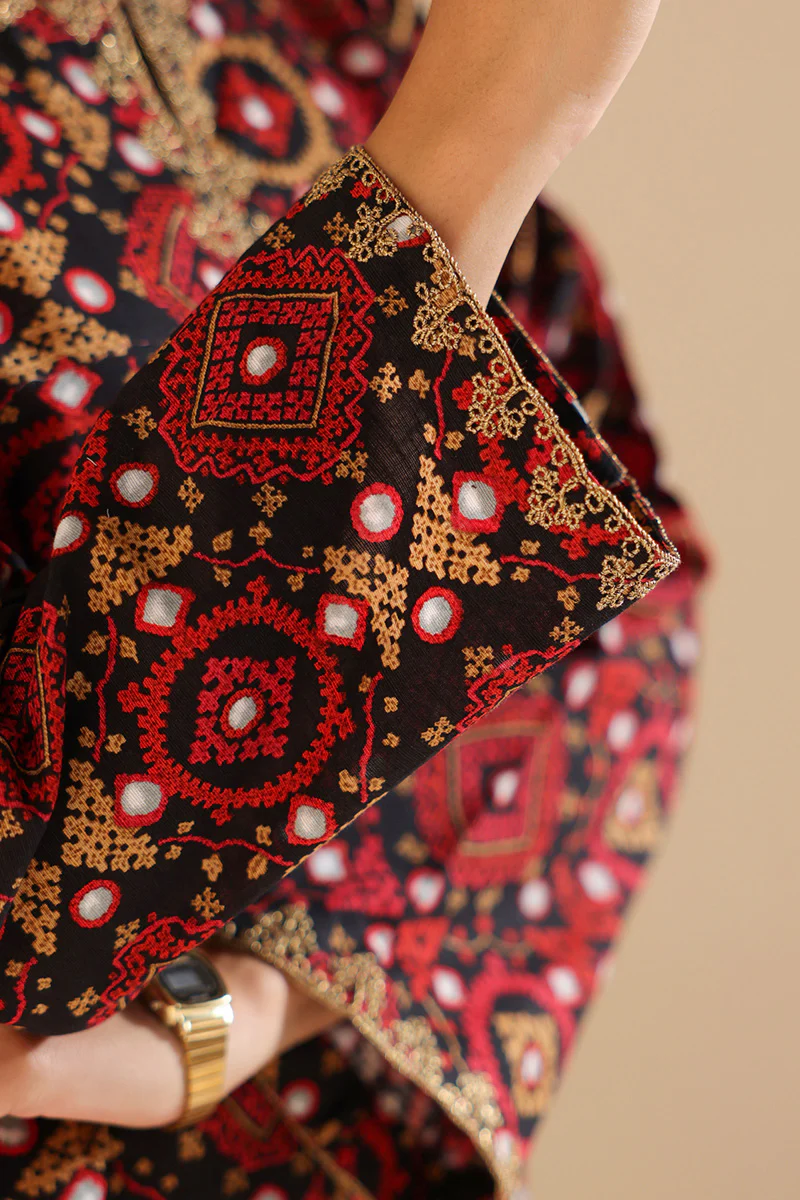 Soul of Sindh Duo-Set - Image 3