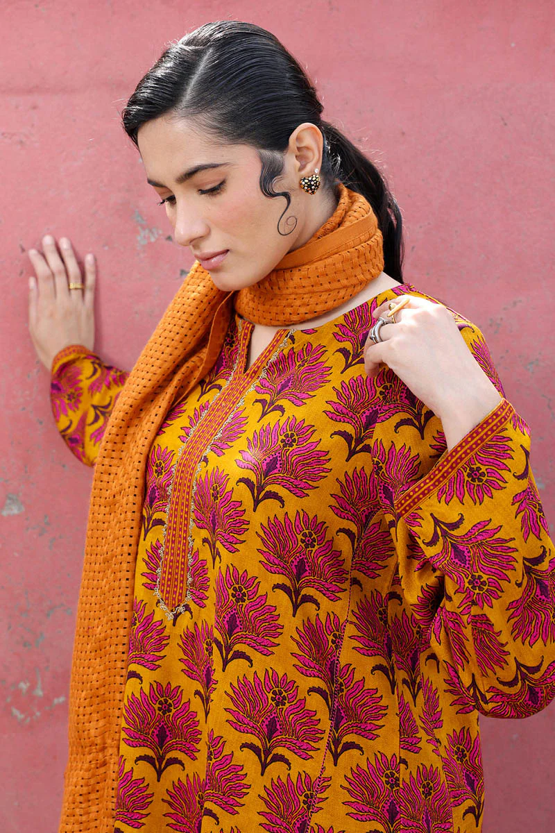 Rani Bagh Duo-Set - Image 11