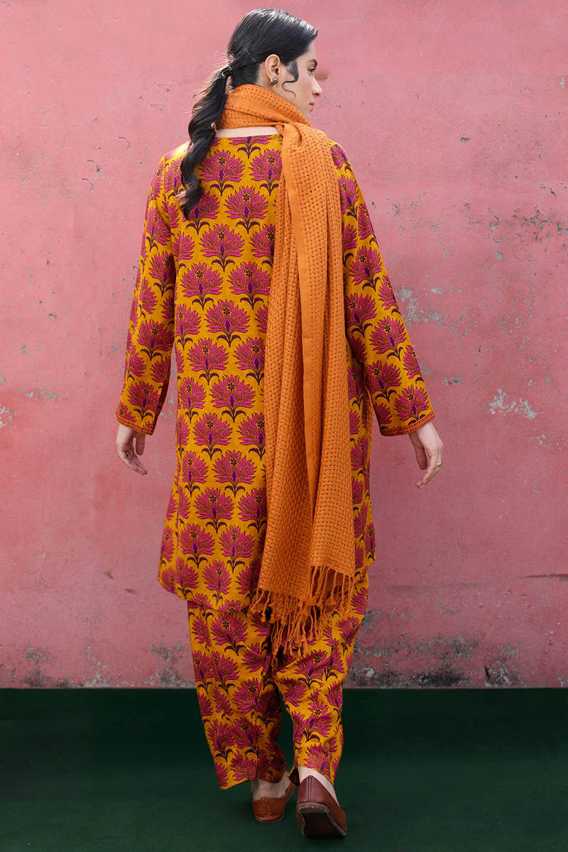 Rani Bagh Duo-Set - Image 15