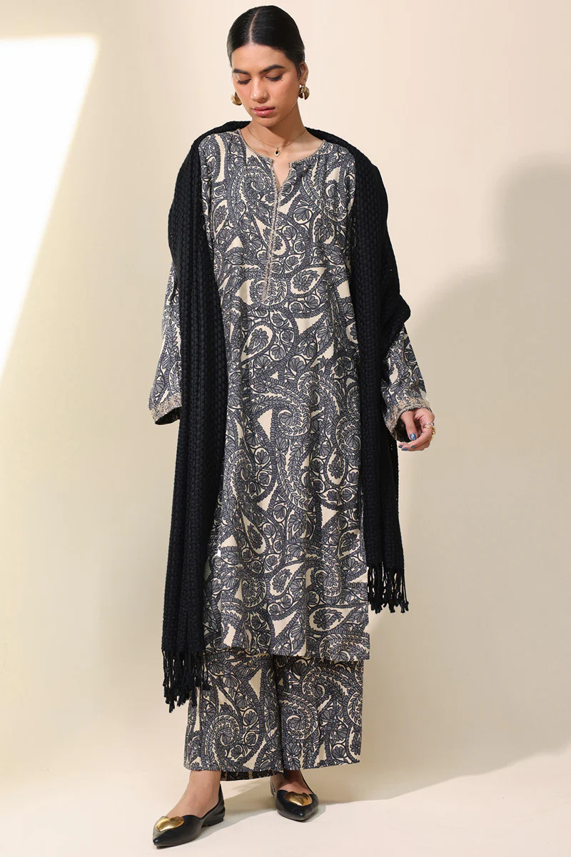 Aari Paisley Printed Set - Image 3