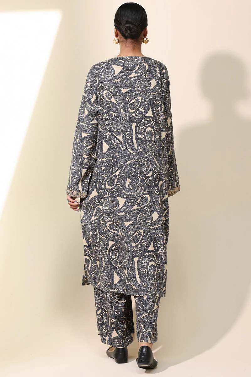Aari Paisley Printed Set - Image 4