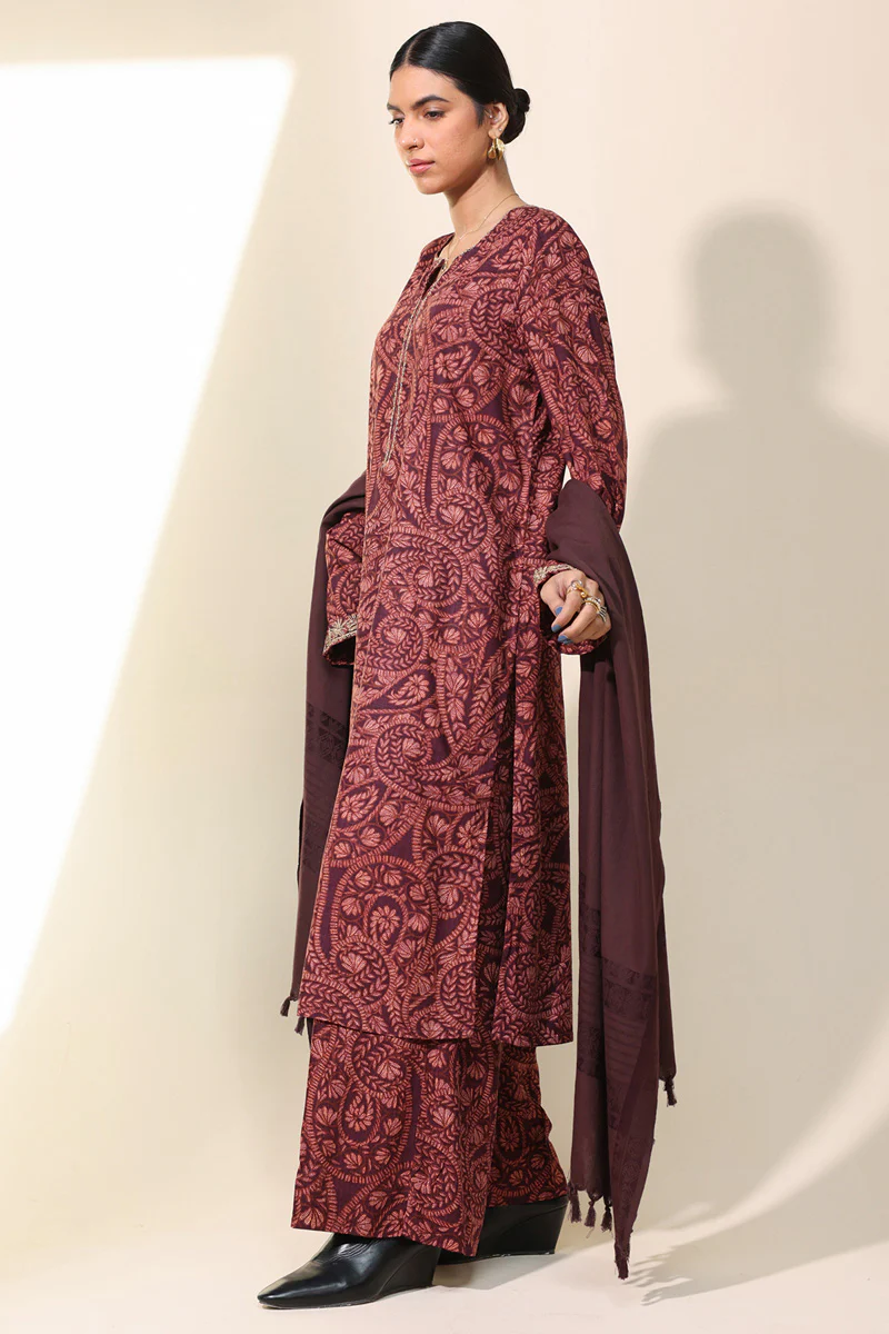 Aari Paisley Printed Set - Image 7