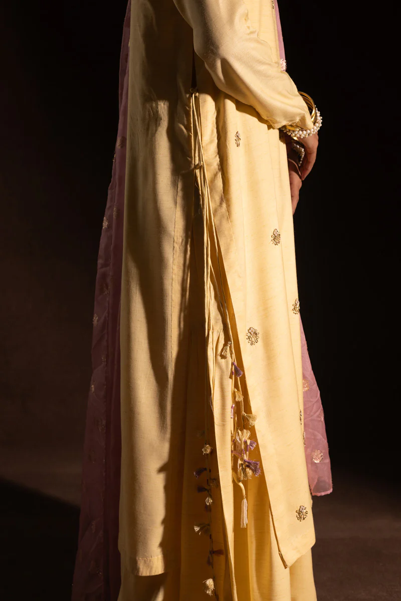 Embroidered Polki Flared Set - Image 5