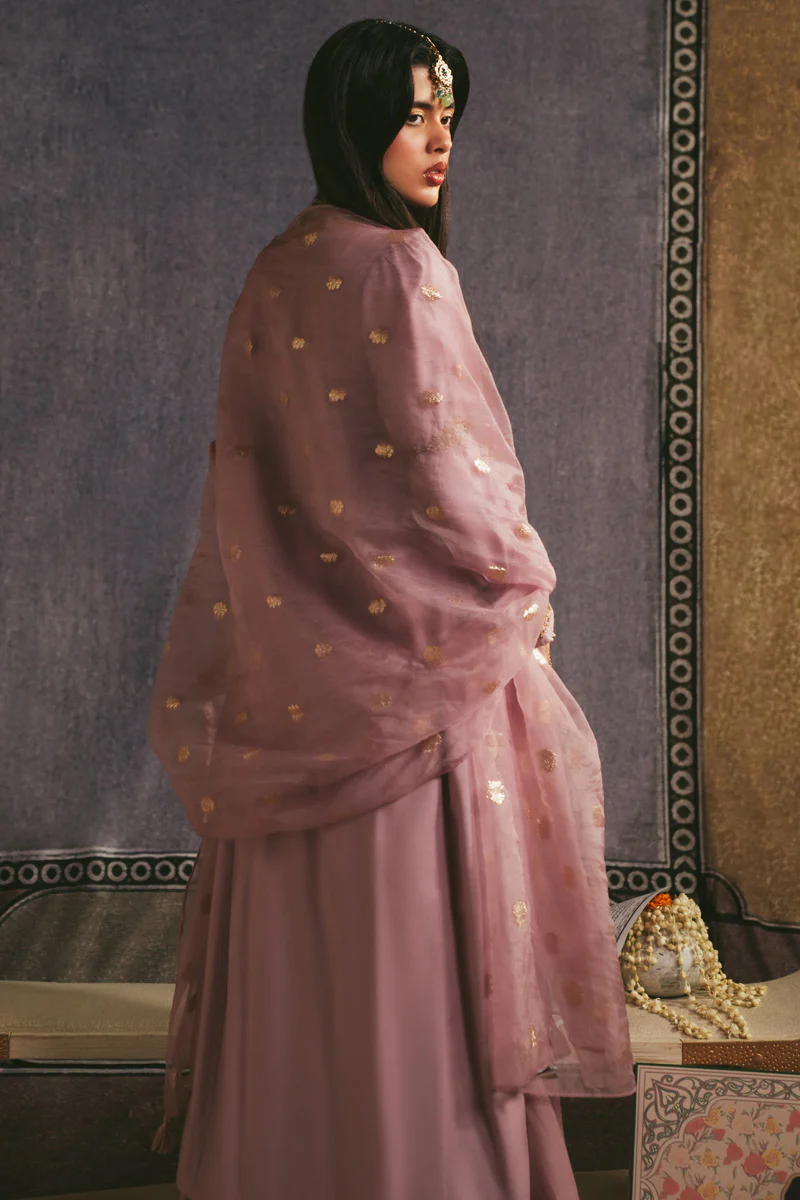 Raqs-e-Nur Sharara Set - Image 3
