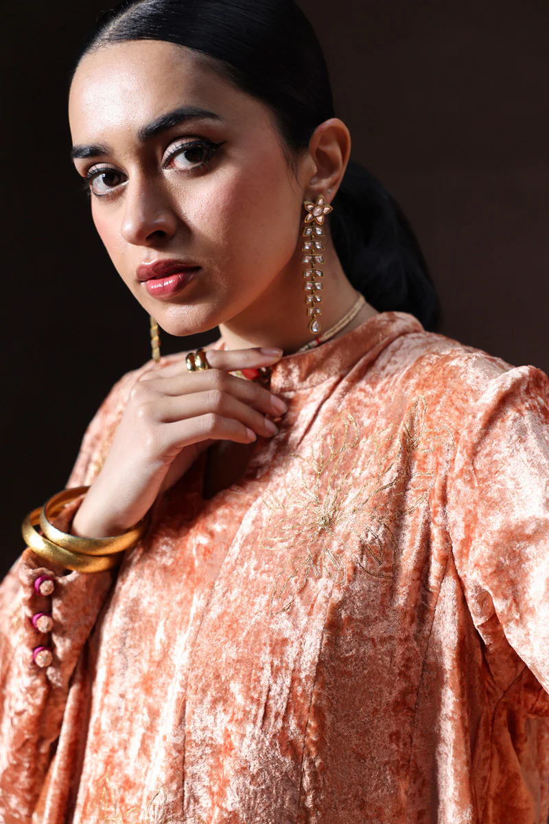 Embroidered Velvet Kalidar Set - Image 2