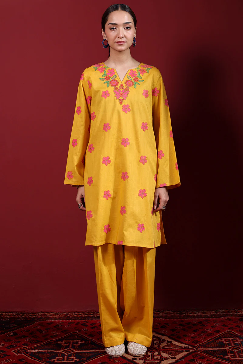Pyari Paras Embroidered Set - Image 6