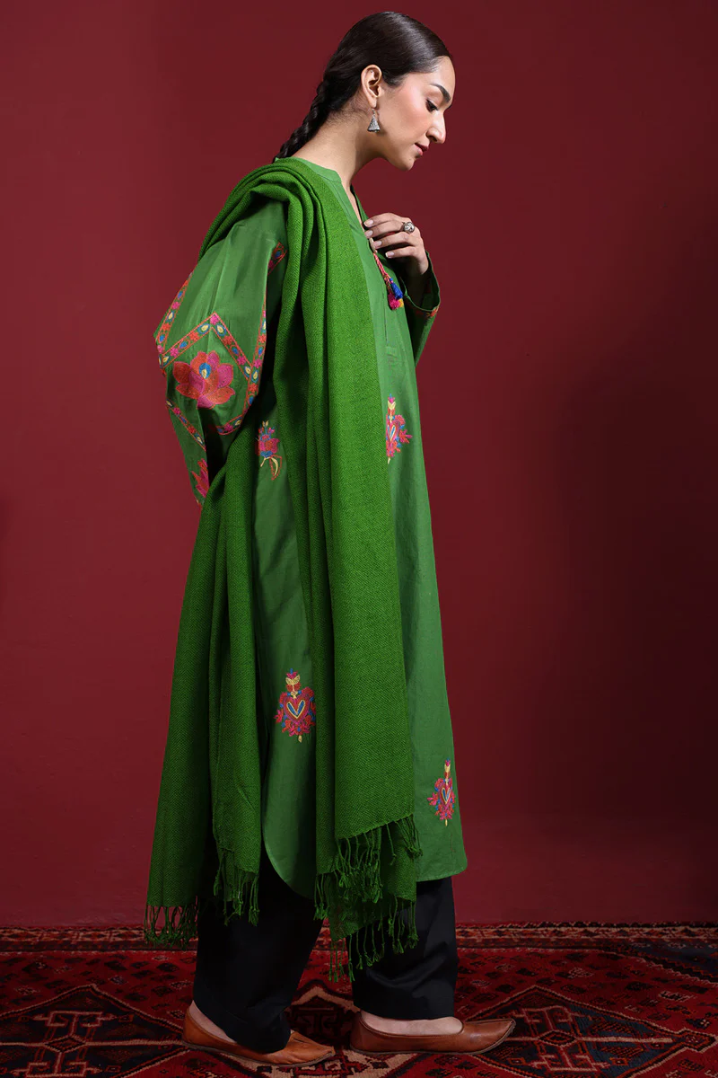 Laari Adda Embroidered Shirt - Image 9