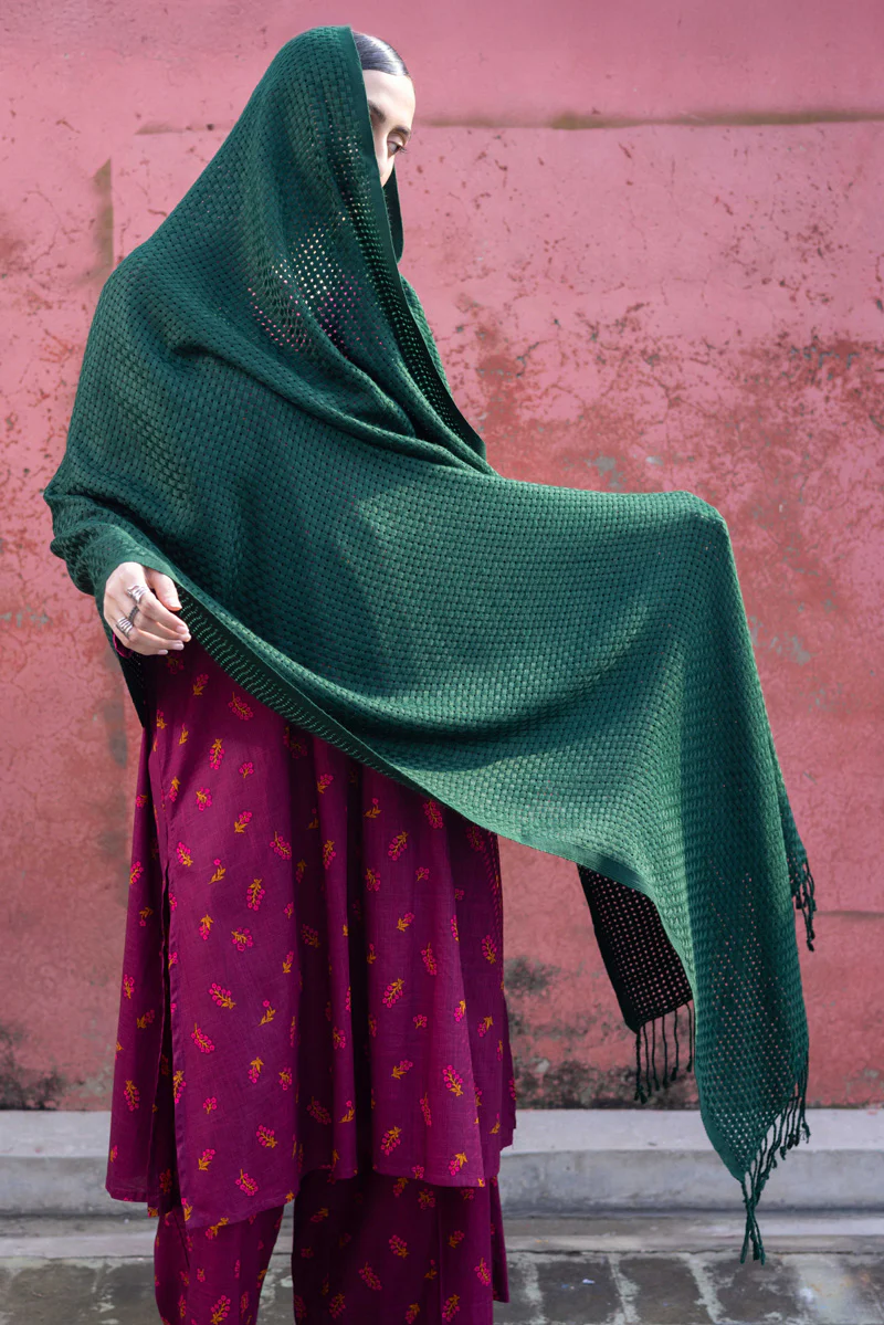 Woven Checks Shawl - Image 17